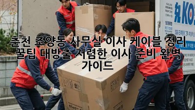 춘천 조양동 사무실 이사? 케이블 정리 꿀팁 대방출! 저렴한 이사 준비 완벽 가이드! ✨